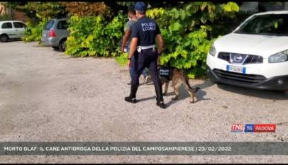 CAMPOSAMPIERO | MORTO OLAF: IL CANE ANTIDROGA DELLA POLIZIA DEL CAMPOSAMPIERESE