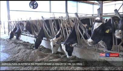 LEGNARO | AGRICOLTURA IN RIPRESA MA PREOCCUPANO LE BOLLETTE