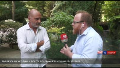 PADOVA | 300 PESCI SALVATI DALLA SICCITA' DEL CANALE ALICORNO