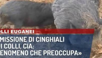 Ce4za4hFUrA