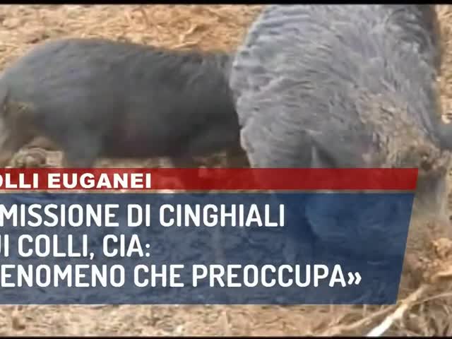 Ce4za4hFUrA