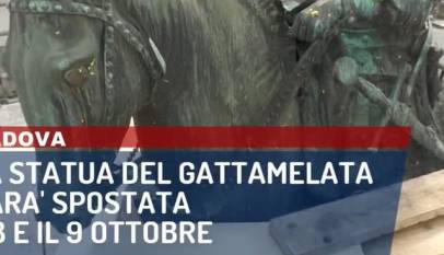 WG8cTwdnB84