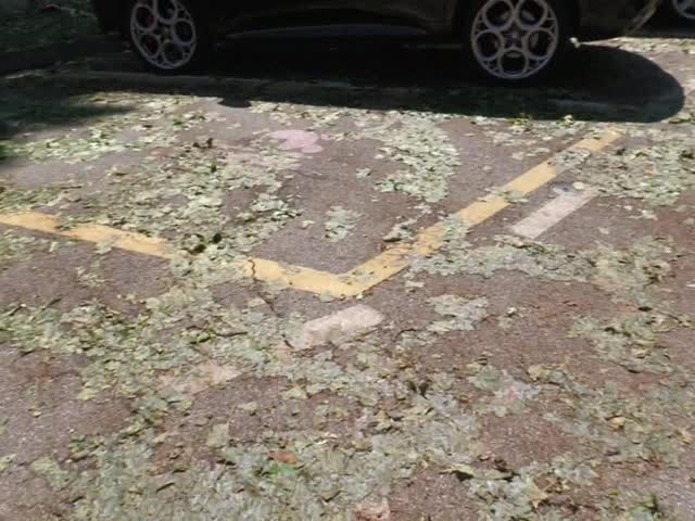 o3Vj1hDKHqM