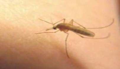 vSk2h3kX2b4